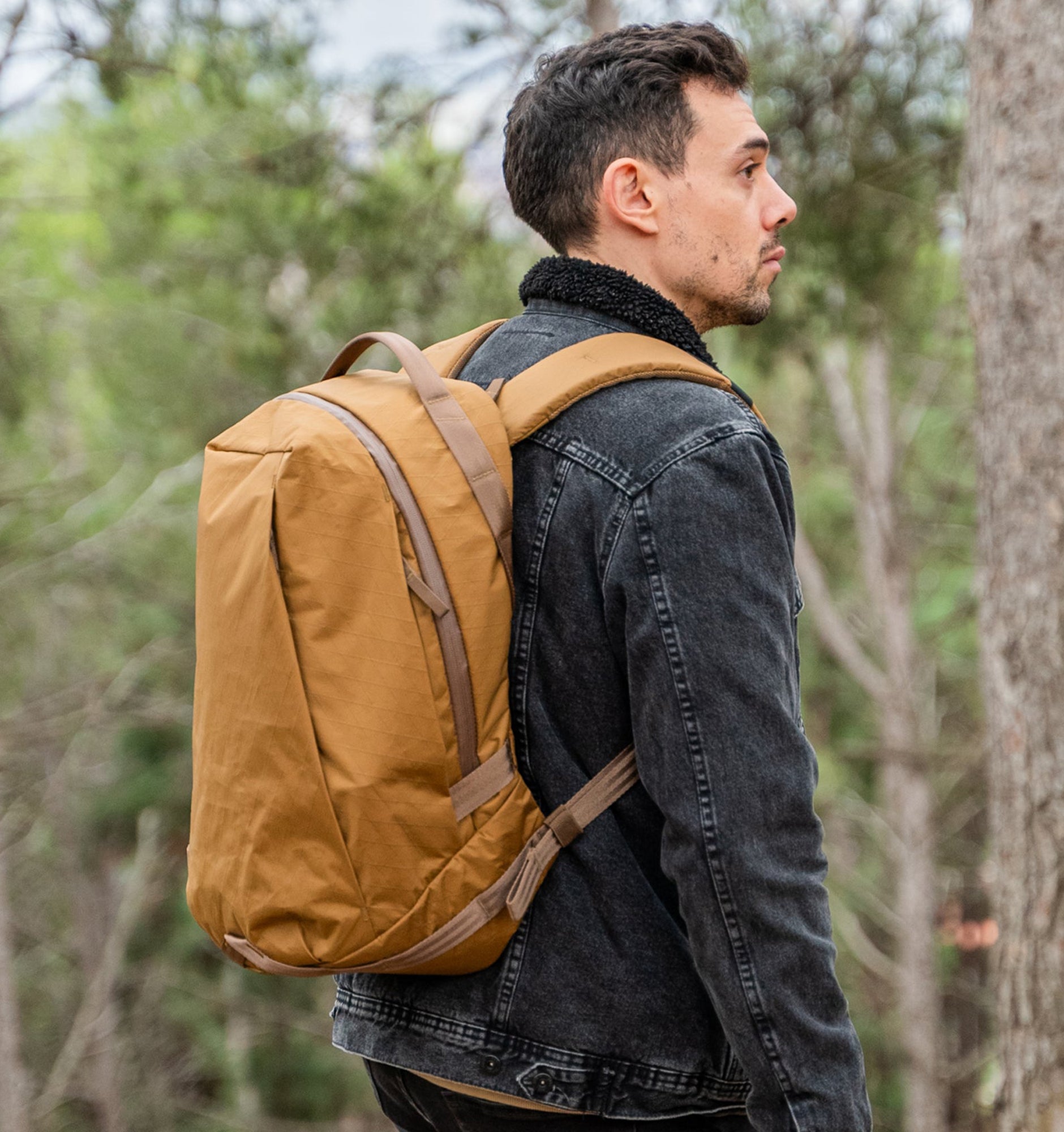 ABLE CARRY / Daily Plus (X-Pac)